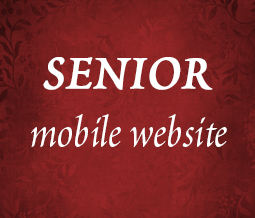 Studio One's Senior Mobile Website